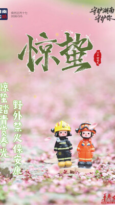 今日惊蛰｜春雷乍响万物长，防火安全记心上