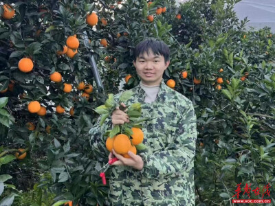湖南工学院学子何江林用专业特长助家乡柑橘“出圈” 获国家级媒体点赞