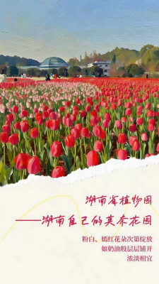 海报丨当湖南的春天撞进油画里……