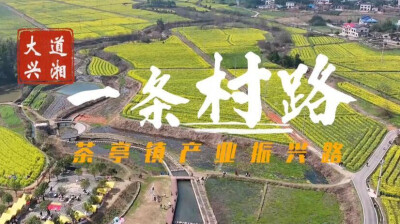 大道兴湘•一条村路 | 路通了，是我回乡的一个理由