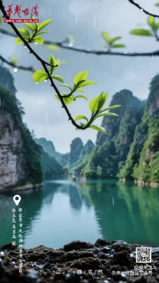 雨水落，万物生