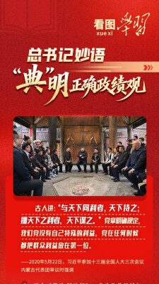 看图学习丨总书记妙语“典”明正确政绩观
