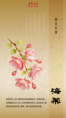 韵味节气⑥｜春分至，拆一封花神寄来的春日请柬