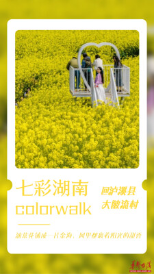 海报丨七彩湖南踏春“colorwalk”，走起！