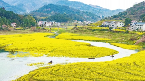 春满潇湘