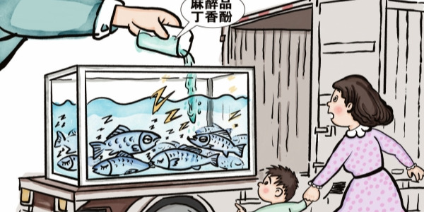 华声漫评：活鱼被麻醉，食品安全不容忽视