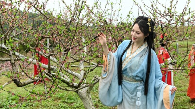 “花经济”促农增收