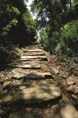 试看华容古道新画卷：探访岳阳市华容县东山镇华容道村