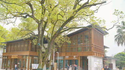 “馆园融合”项目进入收尾阶段