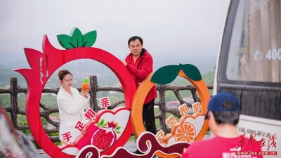 新宁脐橙