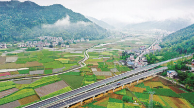 红色热土 绿意新卷