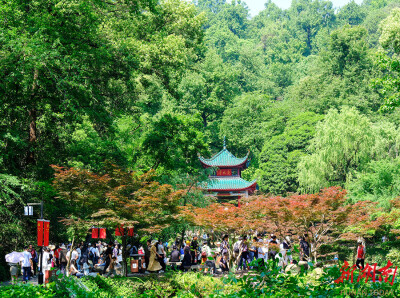 青山绿水间 悠然享假期