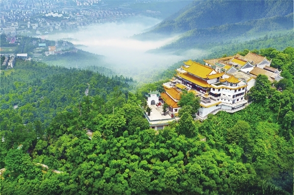 苏仙岭上杜鹃红