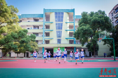 芦淞区樟树坪小学：一树守望 百年回响