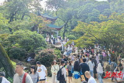 晴日登高享惬意