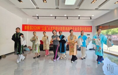 株洲茶陵县开展2026年“三区”人才支持计划文化工作者专项培训