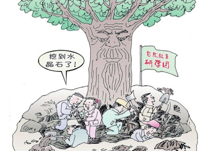 华声漫评：“挖矿”式研学该停了