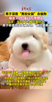 男子“男扮女装”偷走宠物店价值12万元名贵犬