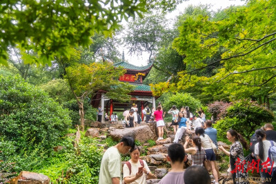 岳麓山暑期游火热