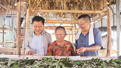三级联动 科技助农