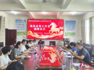湖南省县域普通高中头雁教师岗位计划汤岚名师工作室举行揭牌仪式