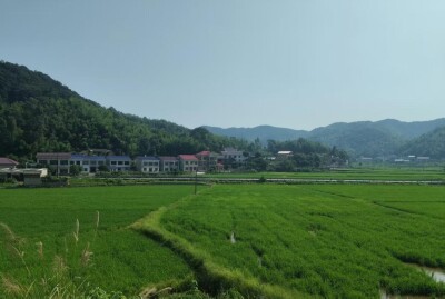 行深沃野探微知著时——看长郡学子解锁乡土实践课堂