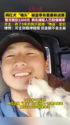 网红犬锄头被盗宰杀案最新进展 警方核价2300元