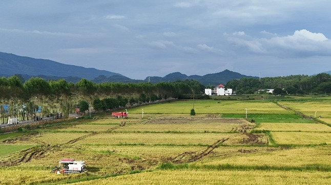 农机作业忙“双抢”