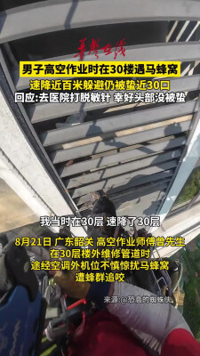 广东一男子高空作业时在30楼遇马蜂窝