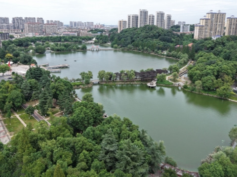 深耕副中心，激活县域发展新动能——益阳市县域经济高质量发展观察