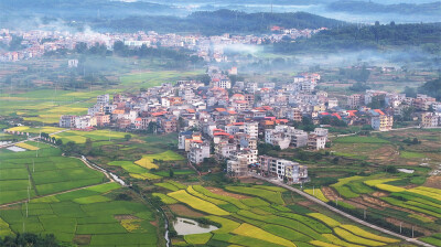秋日乡村“丰”景美