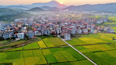 秋日乡村“丰”景美