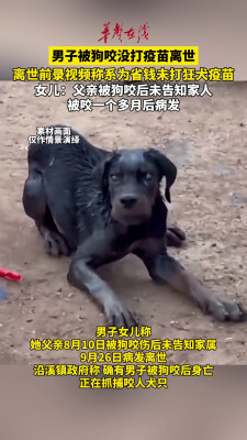男子被狗咬没打疫苗离世 离世前录视频称系为省钱未打狂犬疫苗