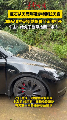 巨石从天而降砸穿特斯拉车顶