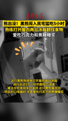 美国黑熊闯入民宅猛吃5小时