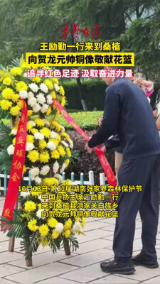 王励勤一行来到桑植向贺龙元帅铜像敬献花篮