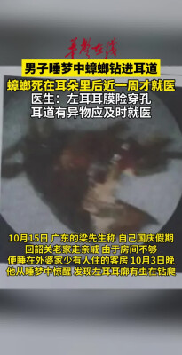 男子睡梦中蟑螂钻进耳道，死在耳朵里近一周就医