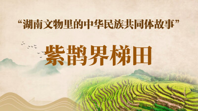 湖南文物里的中华民族共同体故事⑪ | 紫鹊界梯田