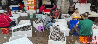 大闸蟹价格“冰火两重天”：普通蟹降幅约三成，精品蟹依然坚挺
