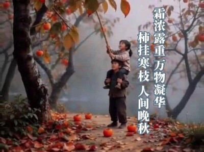 霜降·柿染寒枝