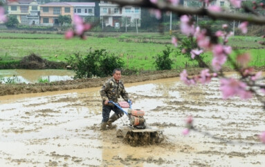 春花绽放 春耕正忙