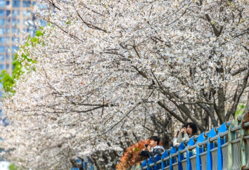 开往春天的地铁