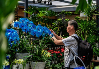 华声网友打卡三湘花卉市场
