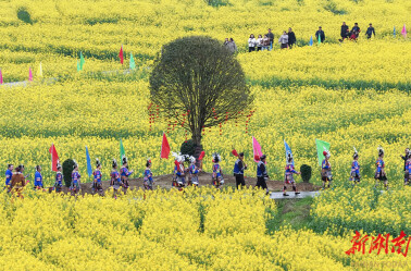 春花烂漫引客来