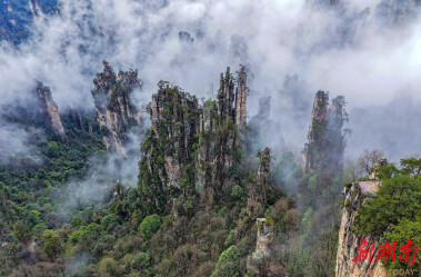 云雾漫卷入画来