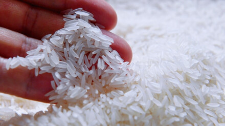 “洞庭香+”品牌喜迎“开门红” 一季度销售额23.17亿元，较去年同期增长7.9%