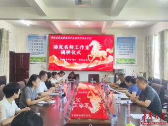 湖南省县域普通高中头雁教师岗位计划汤岚名师工作室举行揭牌仪式