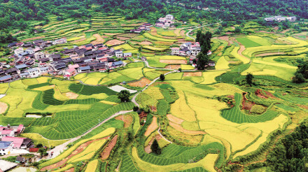 瑶乡梯田入画来