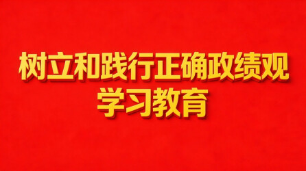【专题】树立和践行正确政绩观学习教育