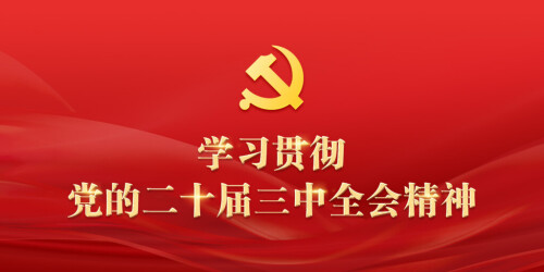 【专题】学习贯彻党的二十届三中全会精神